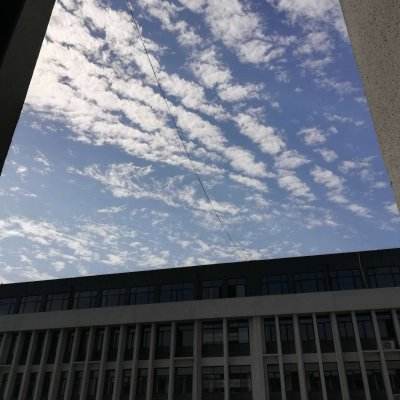星耀手游坠星大陆仙道崛起下载